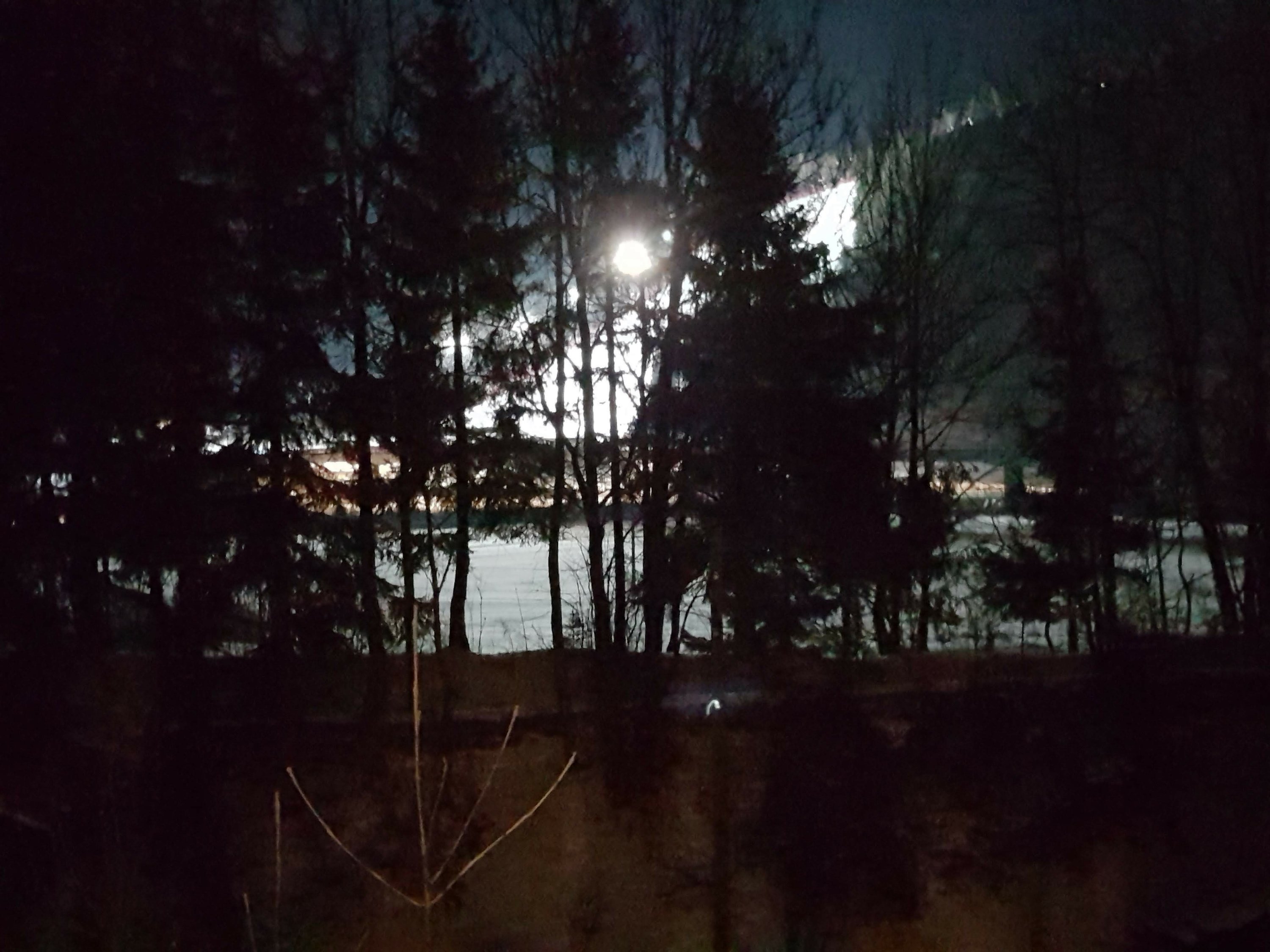 Lo Schluss finale della Di Prampero accesa per lo sci in notturna, visto comodamente dalla finestra di casa, attraverso gli alberi